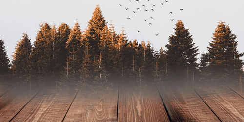 Vettige vlekken op houten vloeren